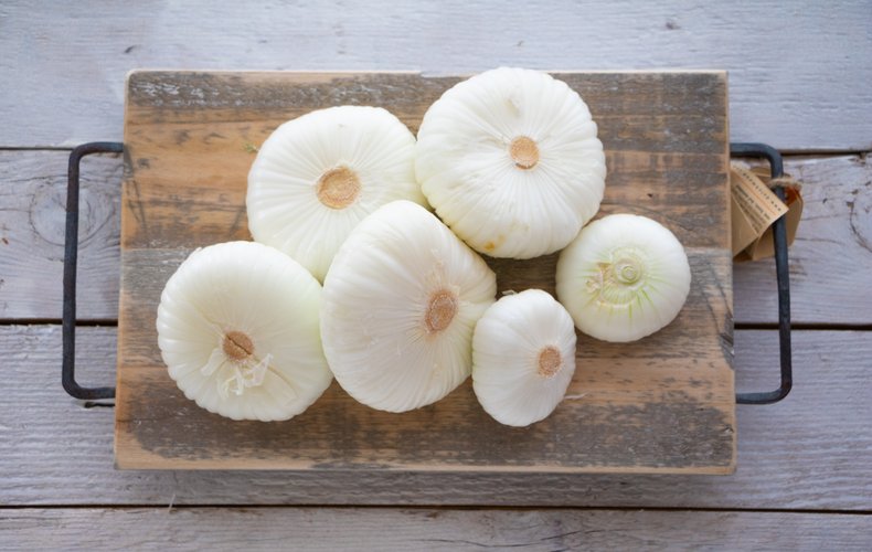 Geschmorte Giarratana-Zwiebeln aus dem Ofen